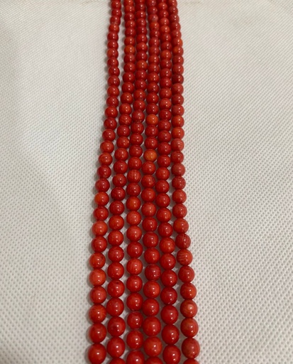 Coral #4